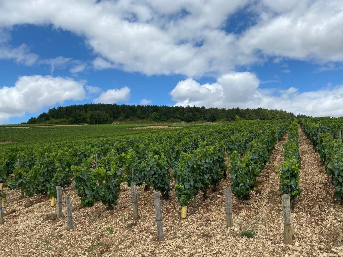 Ferienwohnung Le Cristallin Gite Plein Coeur De Chablis Exterior foto